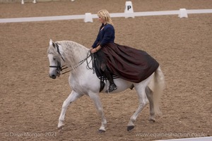 Lusitano Breed Society of Great Britain Show - Hartpury College - 27th June 2009